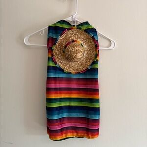 Dog Poncho with Sombrero Costume